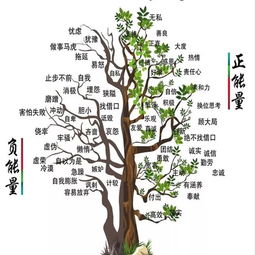 常見(jiàn)的心理狀態(tài)調試方法有哪些