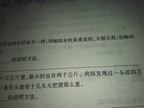 常用的九種說(shuō)明方法有哪些五級