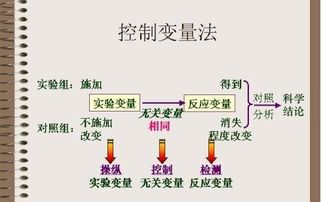 物理學(xué)中的實(shí)驗方法有哪些