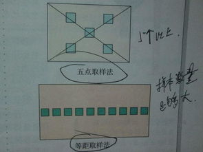 樣方法的取樣方法有哪些生物