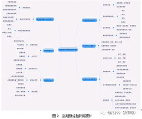 幼兒運動(dòng)評估方法有哪些方法有哪些