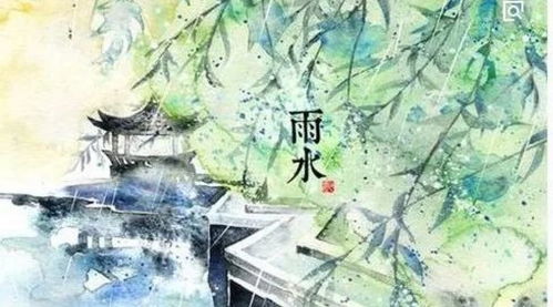 雨水時(shí)節的養生方法有哪些