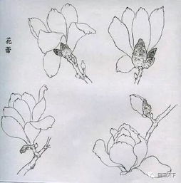 線(xiàn)描畫(huà)法有哪些繪畫(huà)方法