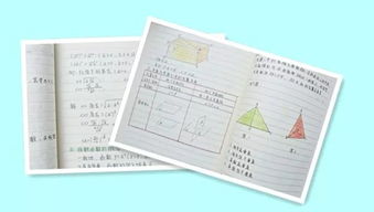 提高課堂效率的導入方法有哪些