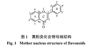 黃酮類(lèi)化合物還有哪些提取方法