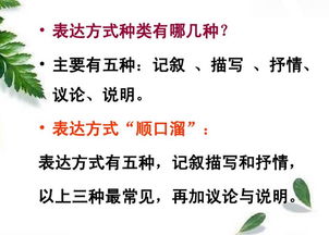 五種基本描寫(xiě)方法有哪些
