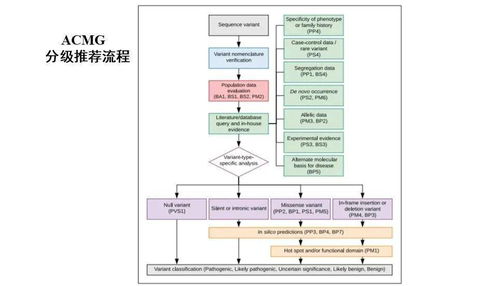 遺傳學(xué)上遺傳病診斷方法有哪些