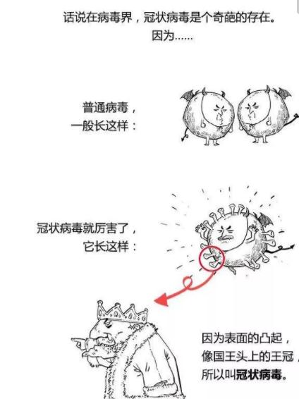新型冠狀病毒有哪些應對方法比較有效