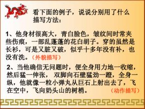 小學(xué)生常見(jiàn)的人物描寫方法有哪些