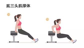 減肥運動(dòng)的訓練方法有哪些方法有哪些方法