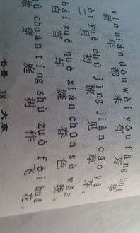 古詩(shī)中寫(xiě)玩雪的詩(shī)句