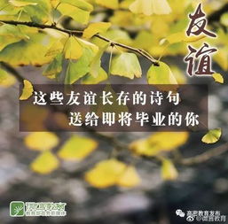 詩(shī)句,身后,友情