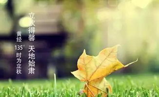 形容立秋的古詩(shī)句