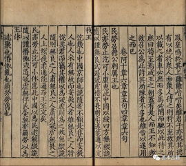 古詩(shī)句的引用