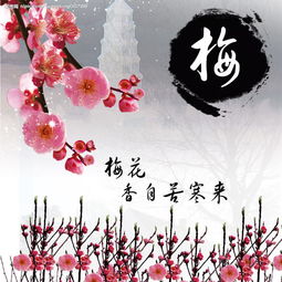 關(guān)于梅花的詩(shī)句連續的兩句