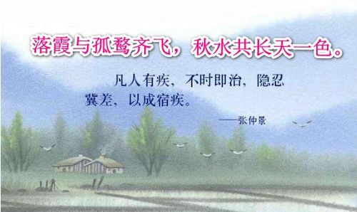 關(guān)于愛(ài)情和婚姻的詩(shī)句