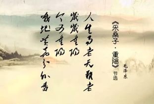 寫(xiě)出兩句關(guān)于節日的詩(shī)句