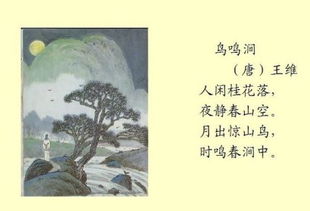 花春山月的詩(shī)句古詩(shī)