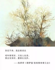 讓我們,詩(shī)句,相遇