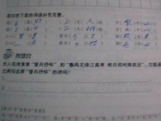 關(guān)于借植物抒情的古詩(shī)句