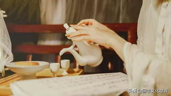 以夏天為主題的古詩(shī)句