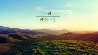 韋應物關(guān)于船的詩(shī)句