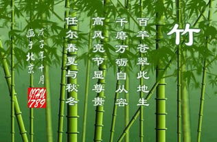 含有竹字的詩(shī)句古詩(shī),雪竹的詩(shī)句古詩(shī),寫(xiě)竹的詩(shī)句古詩(shī)