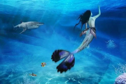 一首關(guān)于美人魚(yú)的詩(shī)句