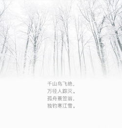下雪的詩(shī)句古詩(shī)