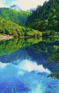 關(guān)于中國的美景的詩(shī)句