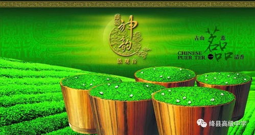 巷子,詩(shī)句