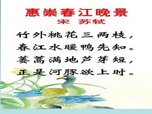 描寫(xiě)夏天古詩(shī)景色詩(shī)句二級