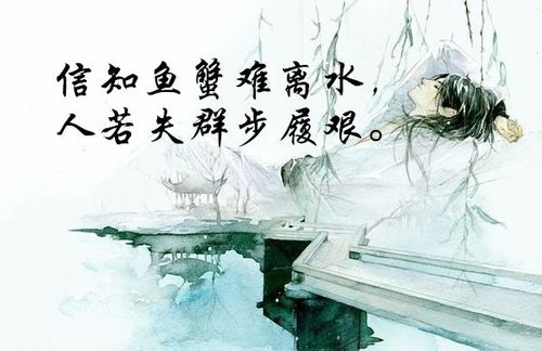 關(guān)于用心盡心的詩(shī)句