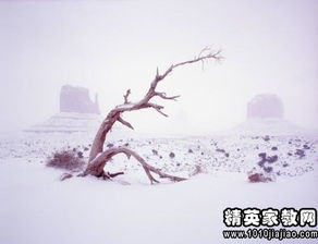 琴聲,詩(shī)句,唯美