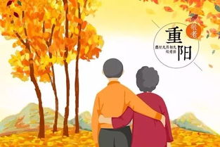關(guān)于九九重陽(yáng)節尊敬老人的詩(shī)句