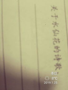 描寫(xiě)水仙花詩(shī)句古詩(shī)詞