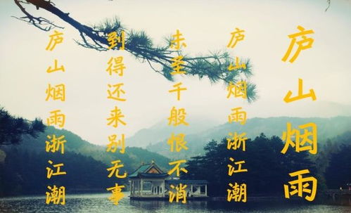 詩(shī)句,迷茫,表達