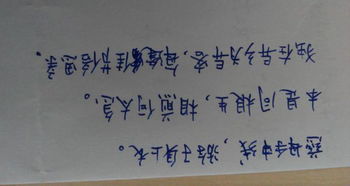 關(guān)于體現親情的詩(shī)句或名言