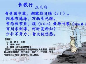 古詩(shī)75首的詩(shī)句,古詩(shī)75首思鄉詩(shī)句,關(guān)于丁香的詩(shī)句古詩(shī)75首