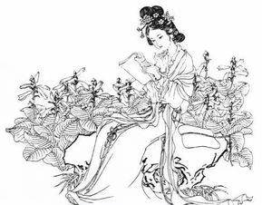 賤人,詩(shī)句