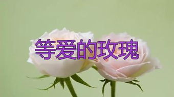 關(guān)于等愛(ài)的詩(shī)句