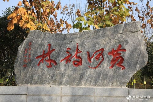 初一.關(guān)于黃河的詩(shī)句