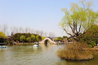 關(guān)于揚州景色的詩(shī)句