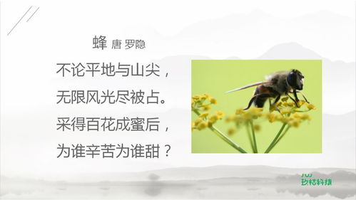 在75首古詩(shī)中關(guān)于冬天的所有詩(shī)句