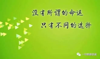 關(guān)于失敗后勵志的詩(shī)句,失敗了站起來(lái)的勵志詩(shī)句,考試失敗后的勵志詩(shī)句