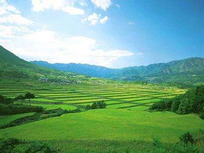歌頌土地的古詩(shī)名句,關(guān)于土地的古詩(shī)句,歌頌奉獻的古詩(shī)句