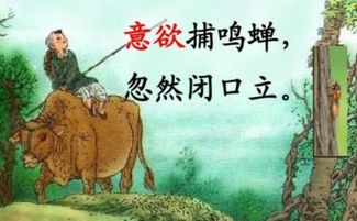 健忘,詩(shī)句,形容