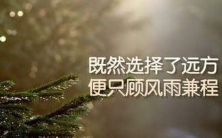 關(guān)于貧困使人奮斗的詩(shī)句