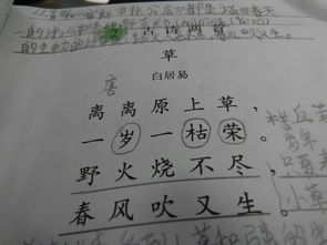 寫(xiě)出日字在古詩(shī)中是時(shí)候意思的詩(shī)句