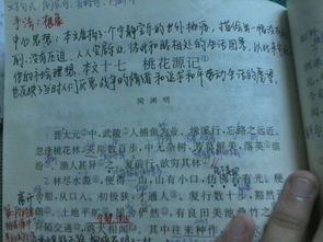 關(guān)于對生活的追求的詩(shī)句